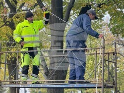 Започна поставянето на коледната украса във Видин