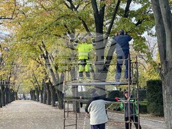 Започна поставянето на коледната украса във Видин