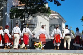 Видин - „Дунавски ритми“ - събор за автентичен фолклор