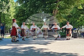 Видин - „Дунавски ритми“ - събор за автентичен фолклор