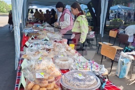 Разград - читалища - фестивал