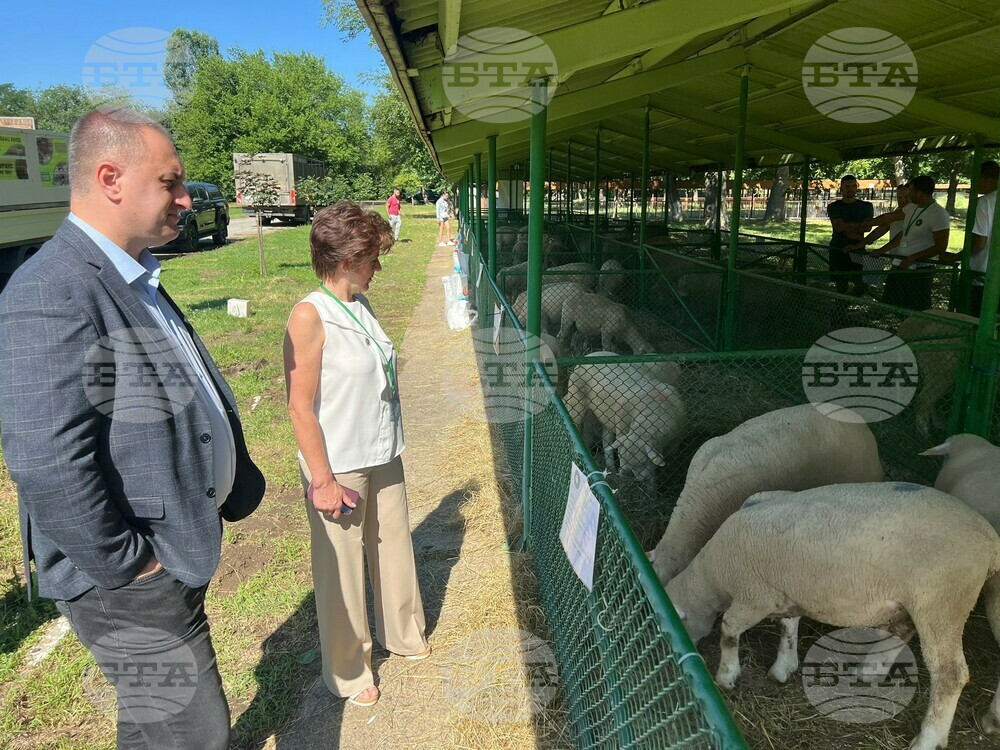 Близо 116 млн. лева са преведени за подпомагане животновъди за Кампания 2023, съобщи заместник-министърът на земеделието и храните Деян Стратев