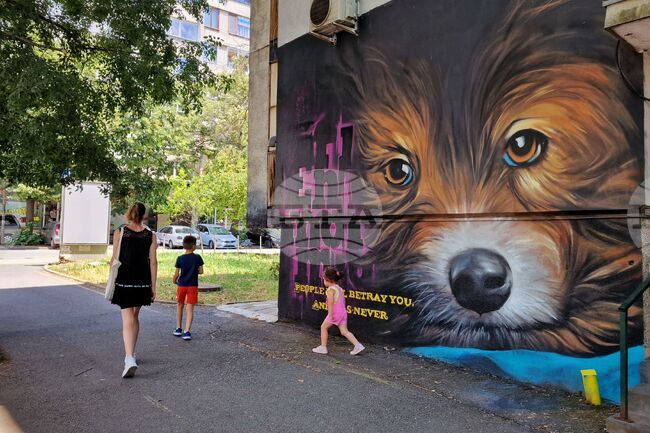 Бургас - жилищна сграда - графити