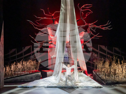 Снимка: Софийска опера и балет