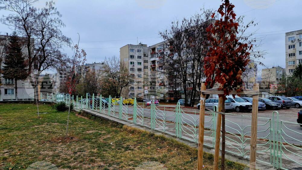 Общинско предприятие „Благоустрояване“ - Габрово продължава кампанията по засаждане на нови дървета и храсти