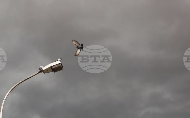 До края на май ще бъде възстановено осветлението по отсечка от международния път Пловдив - Пазарджик, съобщи в НС регионалният министър