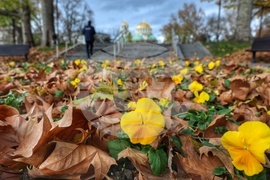 Есен - дъждовно време