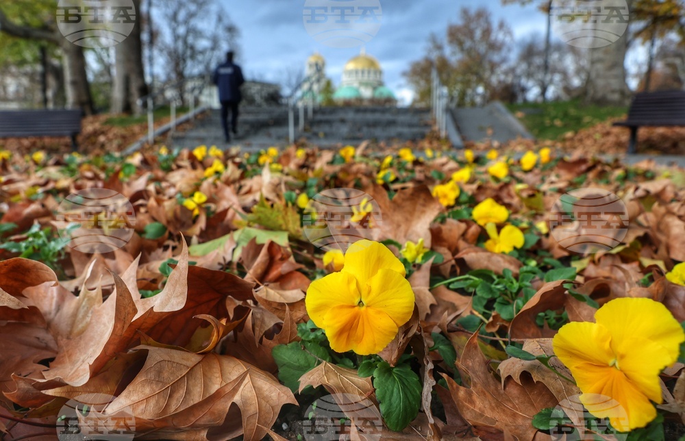 Прогноза за времето
