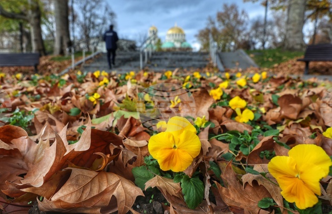 Прогноза за времето 