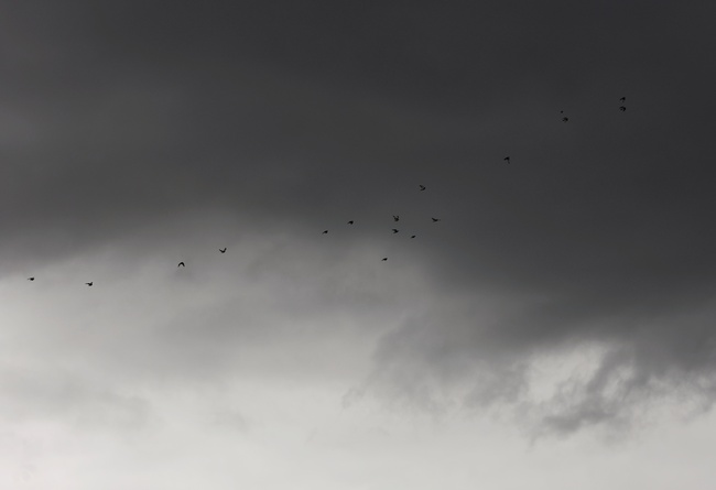 Прогноза за времето