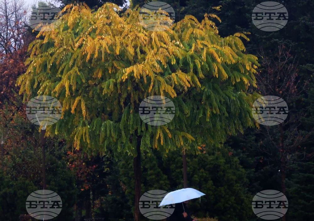 Прогноза за времето