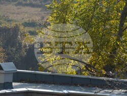 Снимка: Община Благоевград - Община Благоевград ремонтира покрива на съблекалните при спортната сграда на стадиона в с. Логодаж