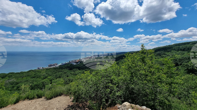 Димитър Плачийски, БДЗП: Европейският закон за възстановяването на природата предвижда приоритетно да се вземат мерки за местообитанията по Натура 2000