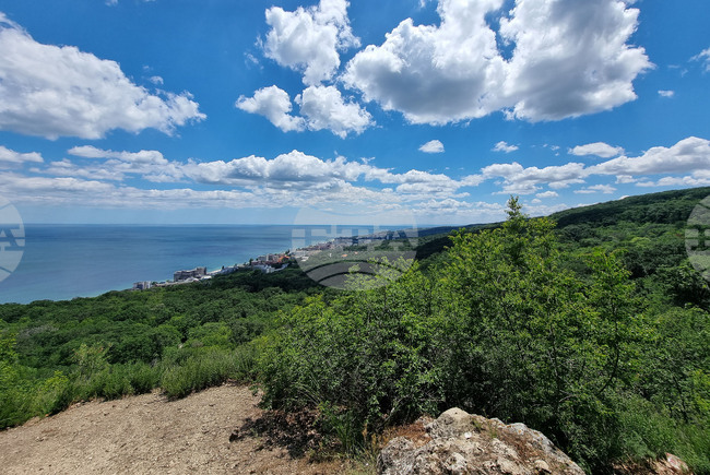Димитър Плачийски, БДЗП: Европейският закон за възстановяването на природата предвижда приоритетно да се вземат мерки за местообитанията по Натура 2000