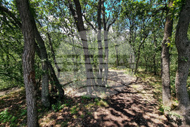 Варна - природен парк „Златни пясъци“ 