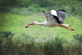 Варна - природен парк „Златни пясъци“ 