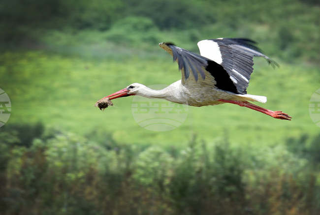 Варна - природен парк „Златни пясъци“ 