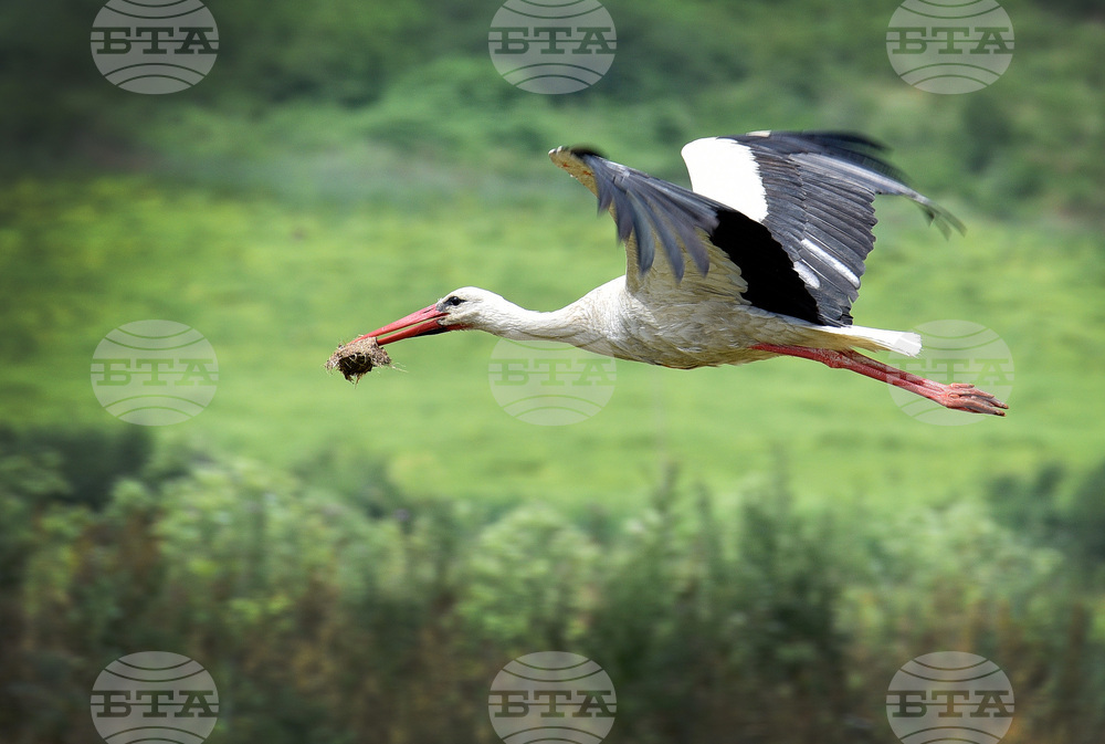 Варна - природен парк „Златни пясъци“ 