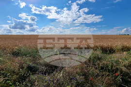 Варна - земеделие