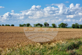 Варна - земеделие