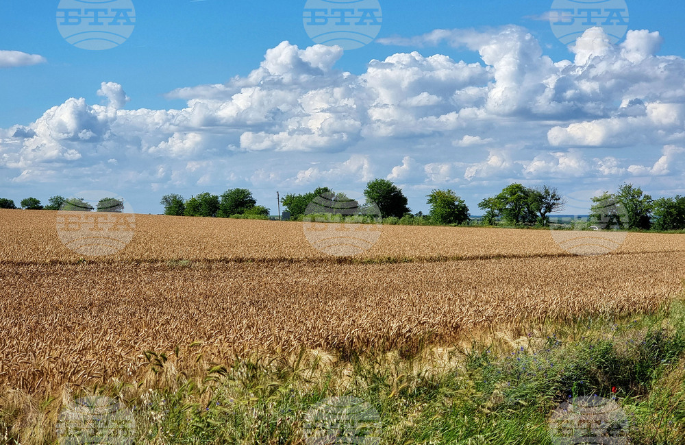 Варна - земеделие