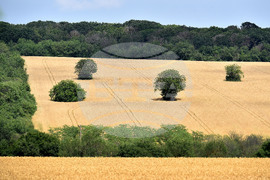 Варна - земеделие