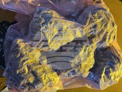 Снимка: Пресцентър МВР - Наркооранжерия е разкрита при спецоперация на служители от сектор БОП – Бургас 