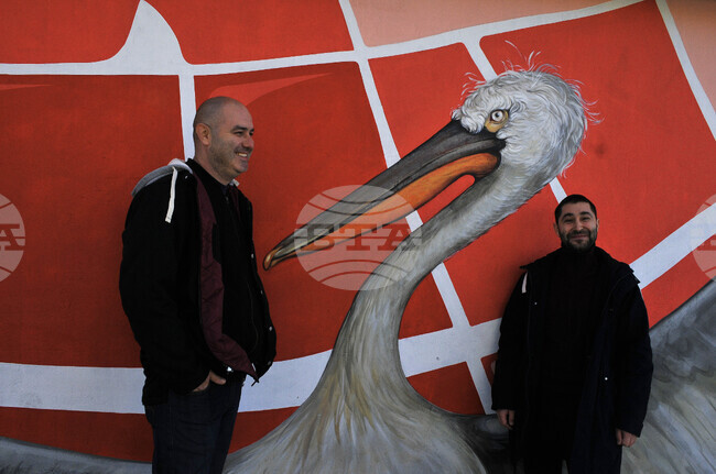 Бургас - къдроглави пеликани - стенопис