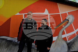 Бургас - къдроглави пеликани - стенопис