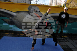 Бургас - къдроглави пеликани - стенопис