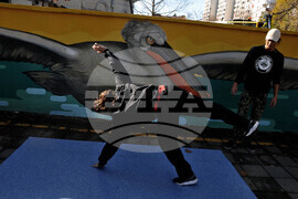 Бургас - къдроглави пеликани - стенопис