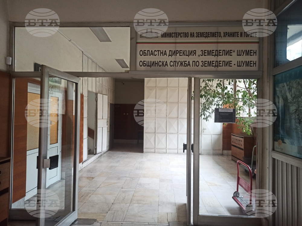 Експерти в Шуменско ще изчисляват тепърва щетите от вчерашната градушка и валежите