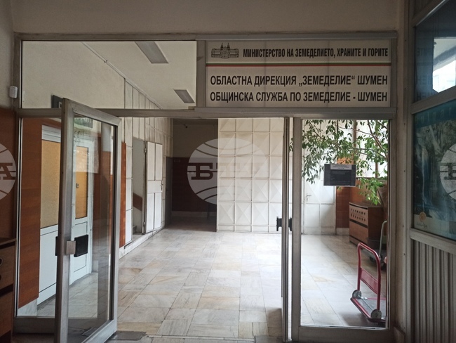 Експерти в Шуменско ще изчисляват тепърва щетите от вчерашната градушка и валежите