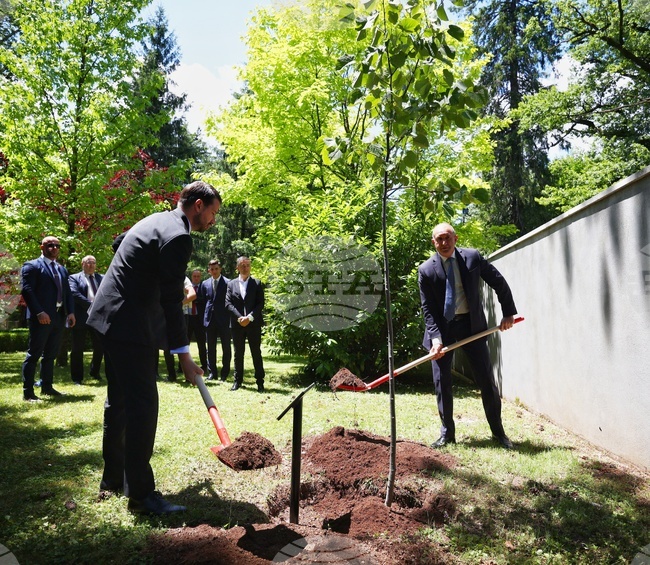 Черна гора - Румен Радев - Яков Милатович - дърво - засаждане