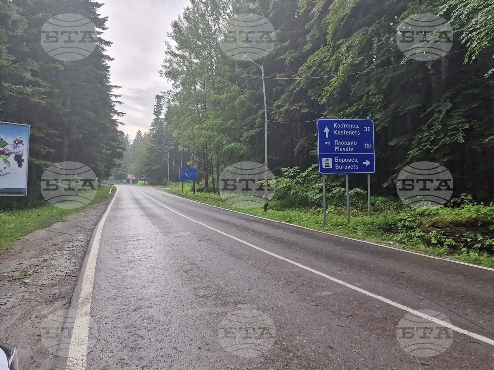 Самоков - Боровец - паднало дърво - почистване