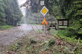 Самоков - Боровец - паднало дърво - почистване