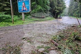 Самоков - Боровец - паднало дърво - почистване