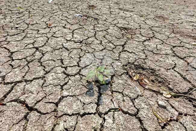 Заради сушата река Тунджа пресъхна в района на Одрин
