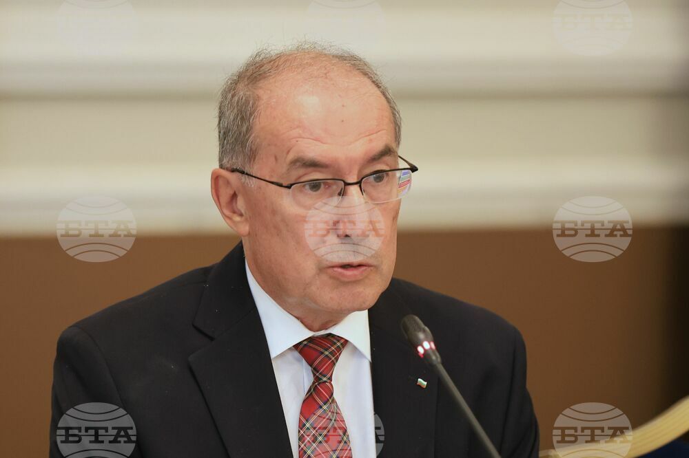 IEIR Executive Director: Centrist Political Forces Emerged from EP Elections as Stable Pro-European Coalition