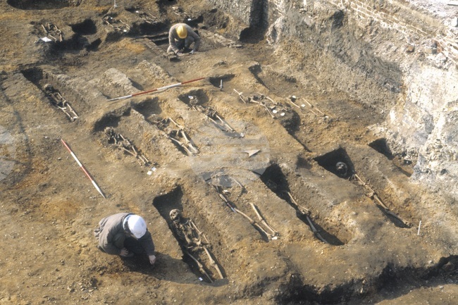 Археологическа находка предоставя нови сведения за мобилността на неандерталците