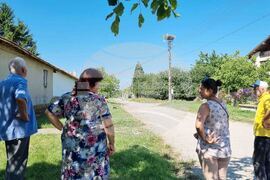 Село Момино - щъркели - любопитно