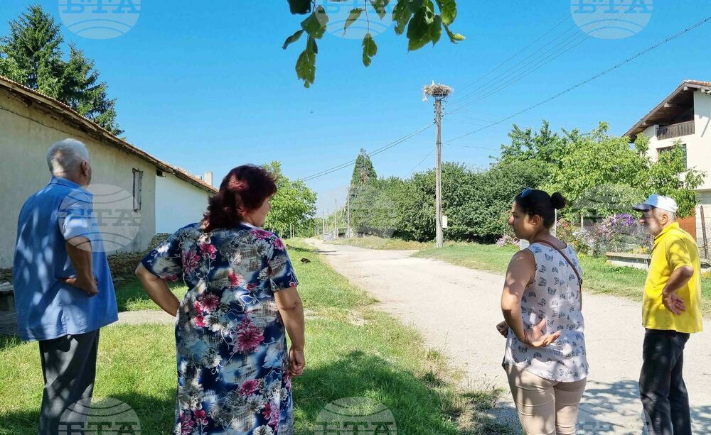 Село Момино - щъркели - любопитно