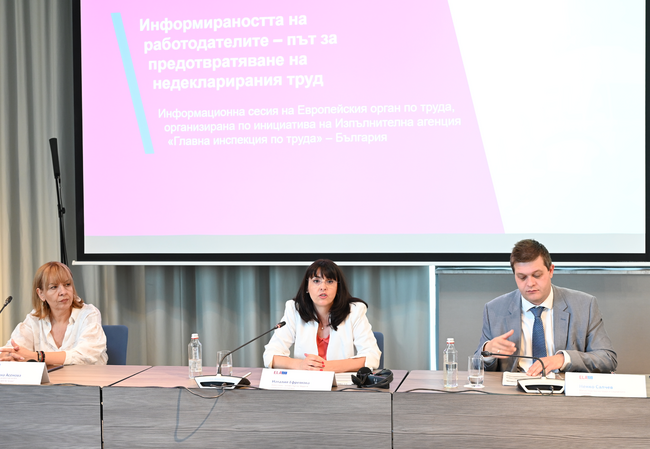 Недекларираният труд оказва негативно влияние върху интересите на цялото общество, смята зам.-министър Наталия Ефремова