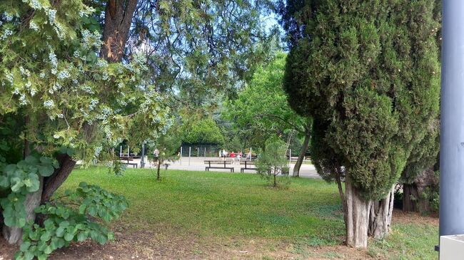 Община Стара Загора: С над 300 феромонни капани ще улавят боровата процесионка