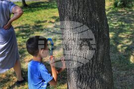 Квартал Факултета - празник на слънцето