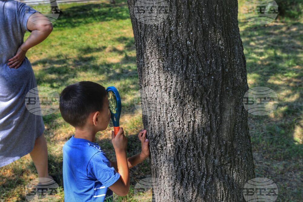Квартал Факултета - празник на слънцето