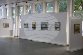 Благоевград - Мая Бисеркова - изложба