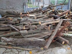 Снимка: Община Благоевград - Община Благоевград дарява дървесина, придобита от почистването на коритото на р. Благоевградска Бистрица, на социално слаби жители