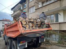 Снимка: Община Благоевград - Община Благоевград дарява дървесина, придобита от почистването на коритото на р. Благоевградска Бистрица, на социално слаби жители