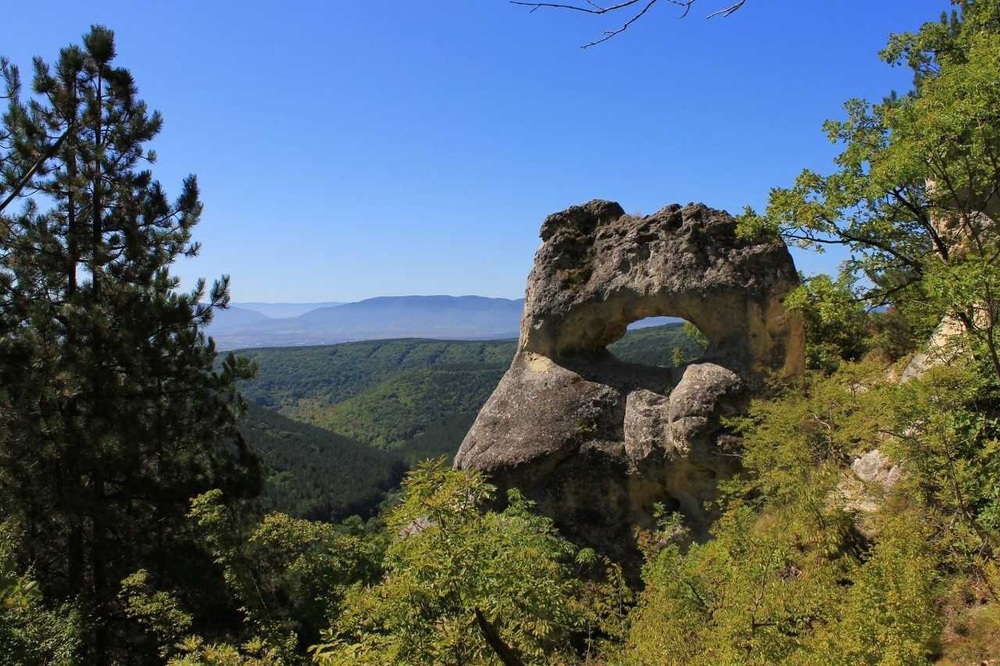 Гражданите да подават само достоверна информация за хищника в "Шуменско плато", призовават институциите